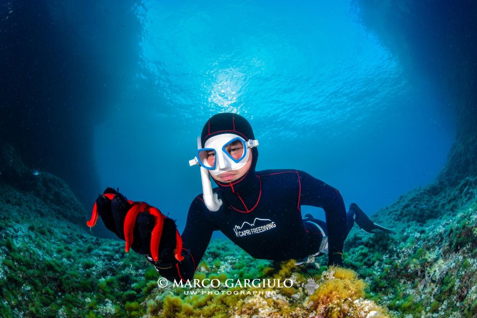 Freediving in the Wild of the Amalfi Coast/Capri/Sorrento: - Instructors and Safety Measures