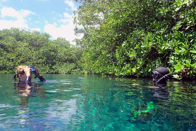 Freediving Intro for Beginners in a Cenote in Tulum Mexico - Whats Included in the Package
