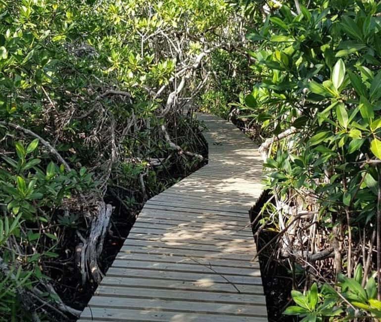 Freeport: Grand Bahama Culture, History & Local Flavors Tour - Key Points