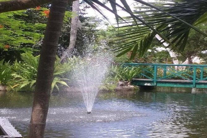 Freeport Shore Excursion: Garden of the Groves and City Tour - Who Is This Tour Best For?