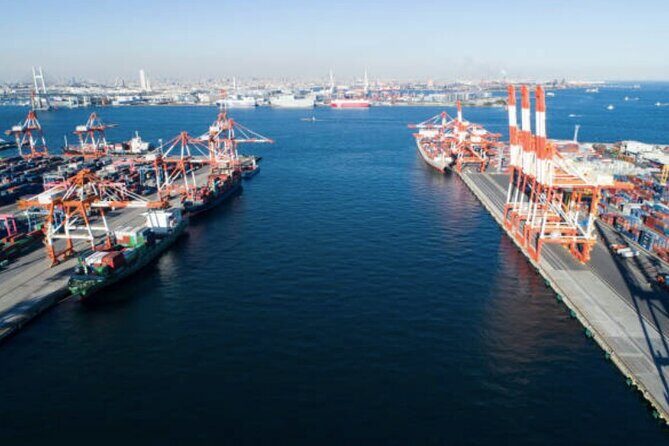 Freeport Shore Excursion: Garden of the Groves and City Tour - Practical Details and Tips