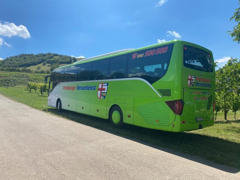 Freiburg: Bus Transfer From/To Basel Euro Airport - Experience Highlights