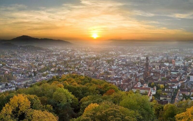 Freiburg: Bus Transfer From/To Basel Euro Airport - Customer Feedback