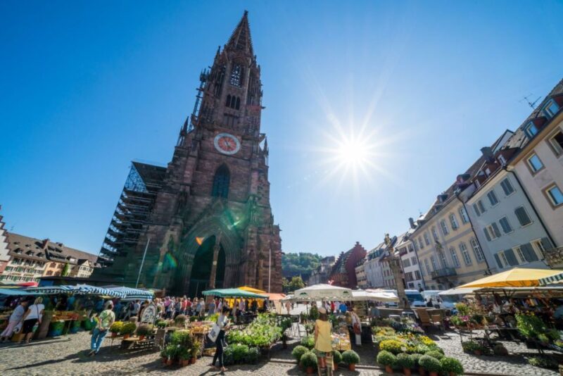 Freiburg: English Tours of the Old City - The Experience: What to Expect from Freiburg’s Old City Tour