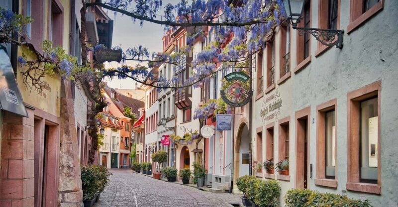 Freiburg im Breisgau: old town group walking tour Italian - Who Will Love This Tour?