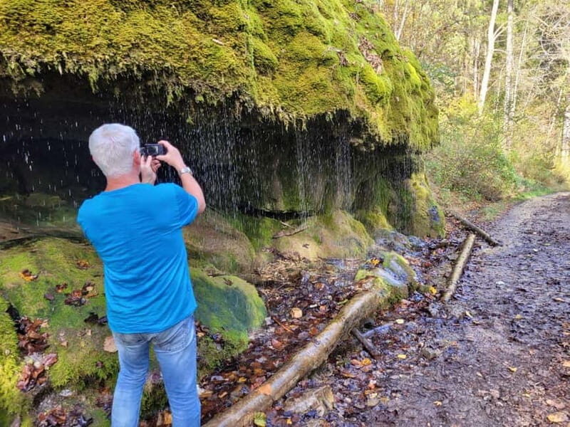 Freiburg: Private Black Forest Tour by car - Transportation and Logistics