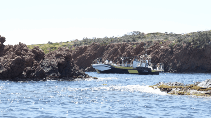 Fréjus: Sea and Creeks Boat Tour With Snorkeling and Drinks - Snorkeling the Underwater Wonders of the Mediterranean
