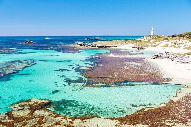 Fremantle to Rottnest Island Roundtrip Ferry Ticket - Key Points