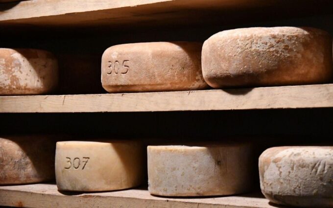 French Basque Country Farms & Food Tour - Booking Information