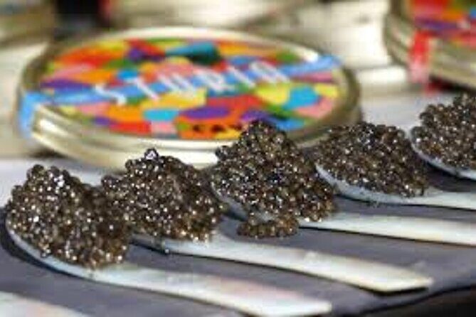 "FRENCH EXCELLENCE" : Fine Wines & Delicacies pairing Workshop - A Closer Look at the Experience