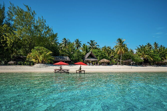 French Polynesia Snorkeling and 4X4 Adventure Tour with Buffet - Key Points