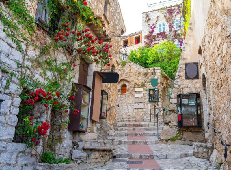 French Riviera in One Day From Nice - Transportation and Comfort