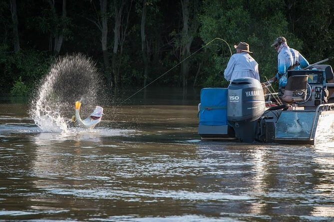 Freshwater or Saltwater Barramundi Fishing Day Trip from Darwin - An In-Depth Look at the Tour Experience