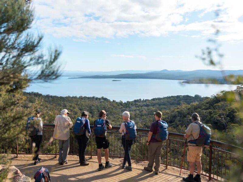 Freycinet: 5.5-Hr Small Group Guided Walk + Boat Experience - Who Will Love This Tour?
