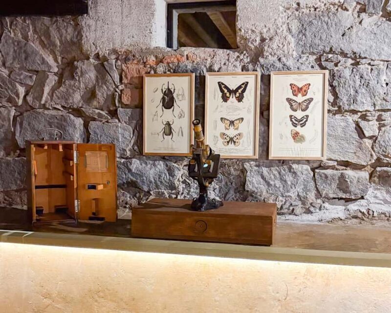 Frida Kahlo: Blue or Red House Ticket + Digital Guide - Practical Details and Tips