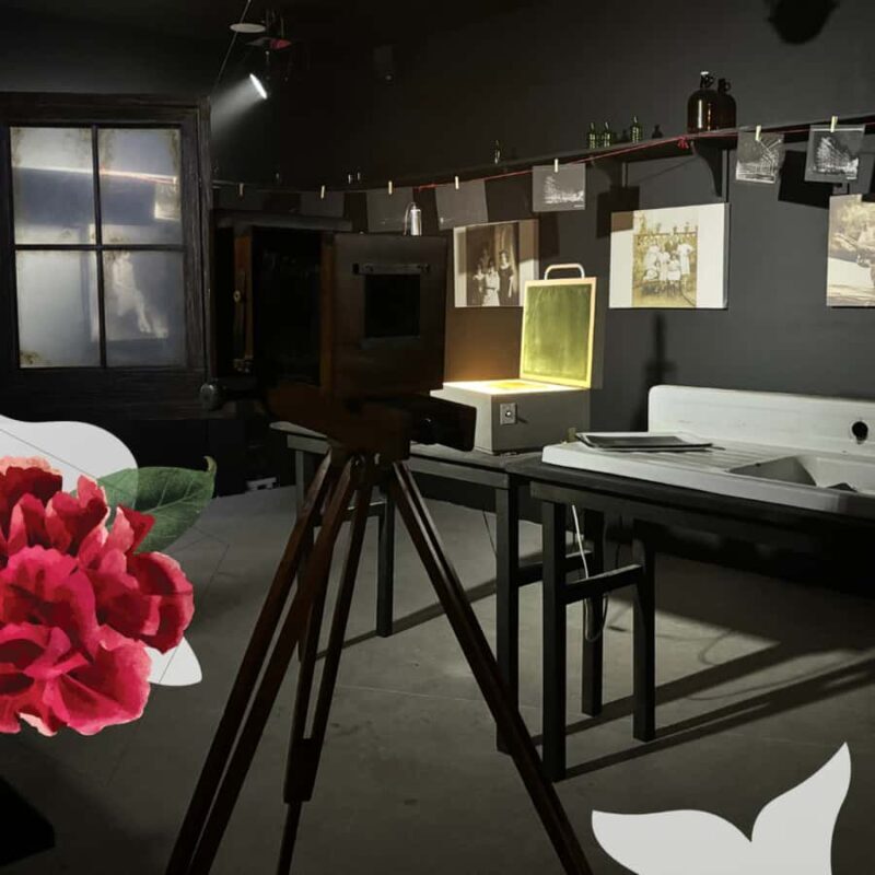 Frida Kahlo: Live Art Experience - Tulum - Final Thoughts