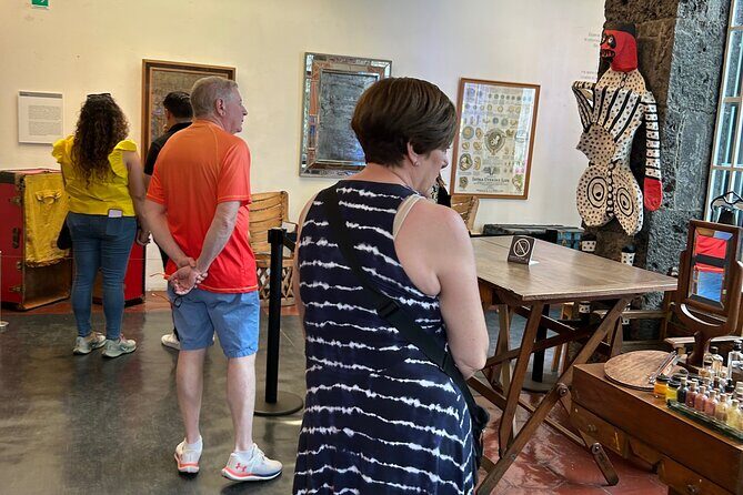 Frida Kahlo Museum Ticket - Introduction to the Frida Kahlo Museum Experience