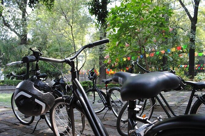 Frida Kahlo VIP - Bike & Churros [Museum Tickets Included] - Who Will Love This Experience?