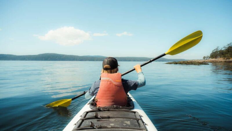 Friday Harbor: Half-Day Family Kayaking and Hiking Tour - A Practical Look at the Experience