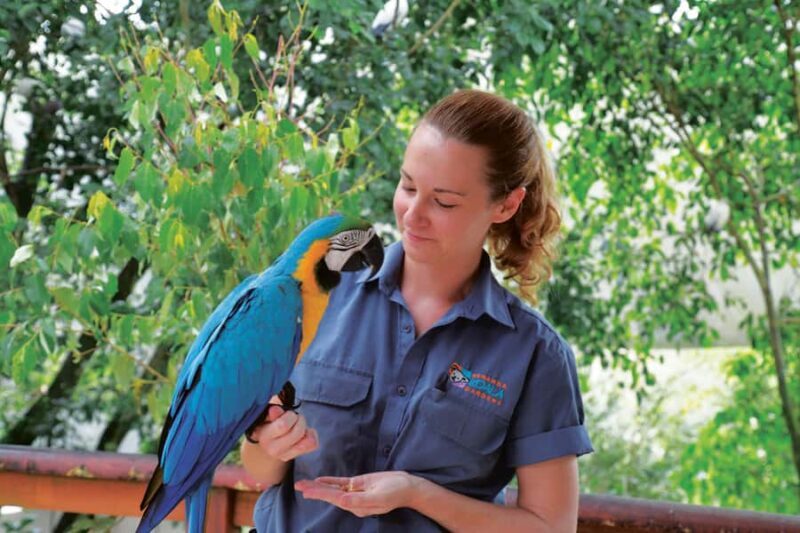 Friends in the Rainforest Package: Koala Gardens & Birdworld - Introducing the Friends in the Rainforest Package: Koala Gardens & Birdworld