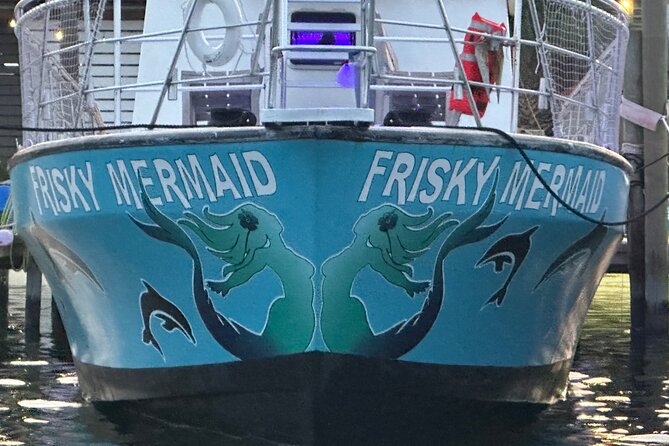 Frisky Mermaid Public Dolphin + Sightseeing Cruise Up to 49 Pax - Booking Details