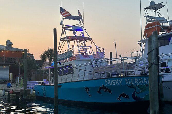 Frisky Mermaid Public Dolphin + Sightseeing Cruise Up to 49 Pax - Important Guidelines