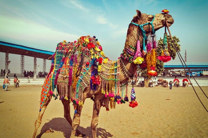 Frm Delhi: 02 Days Jaipur, Chowkidhani Exclusive Guided Tour - Inclusions