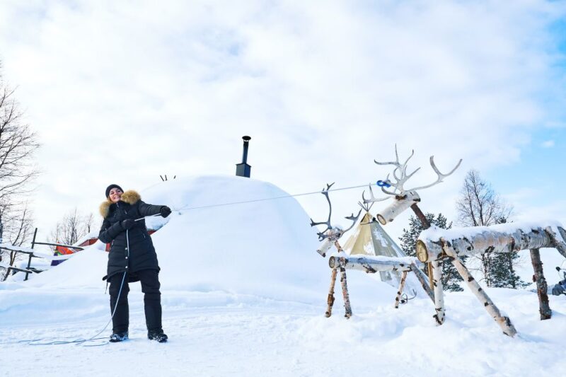 From Abisko/Björkliden: Jukkasjärvi Sami and Reindeer Tour - Key Points