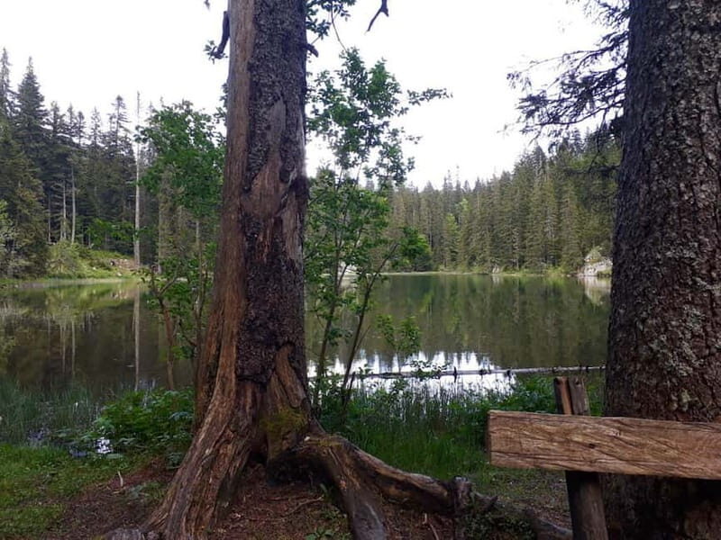 From abljak: Durmitor National Park Private Hiking Tour - What You Can Expect: Nature, Legends, and Local Flavors