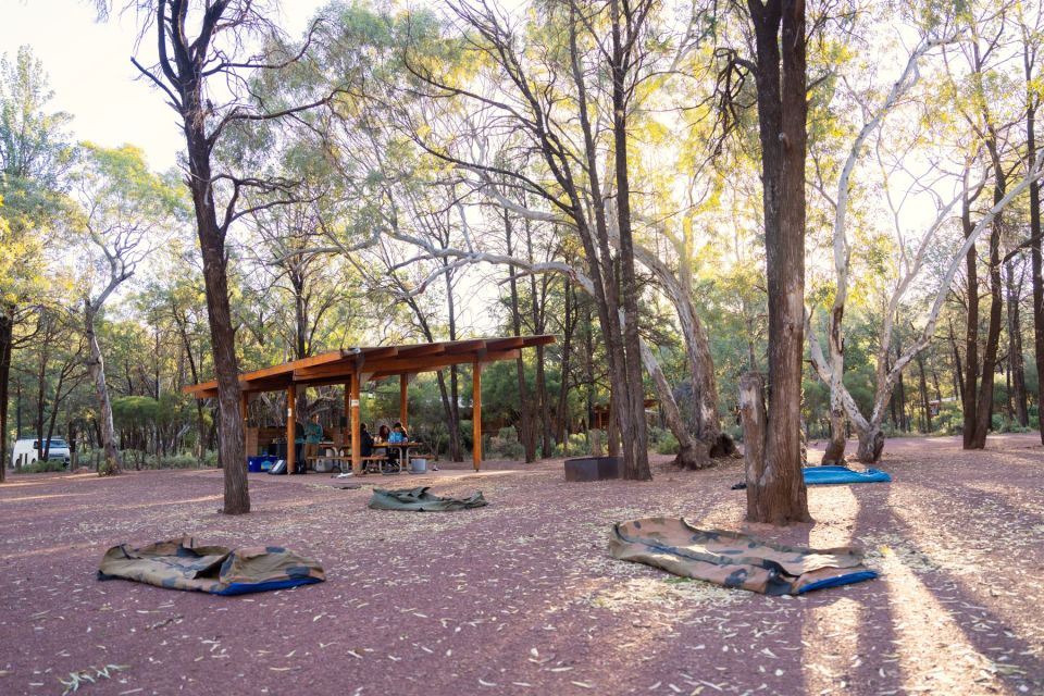 From Adelaide: 8-Day Tour to Uluru - Itinerary Highlights