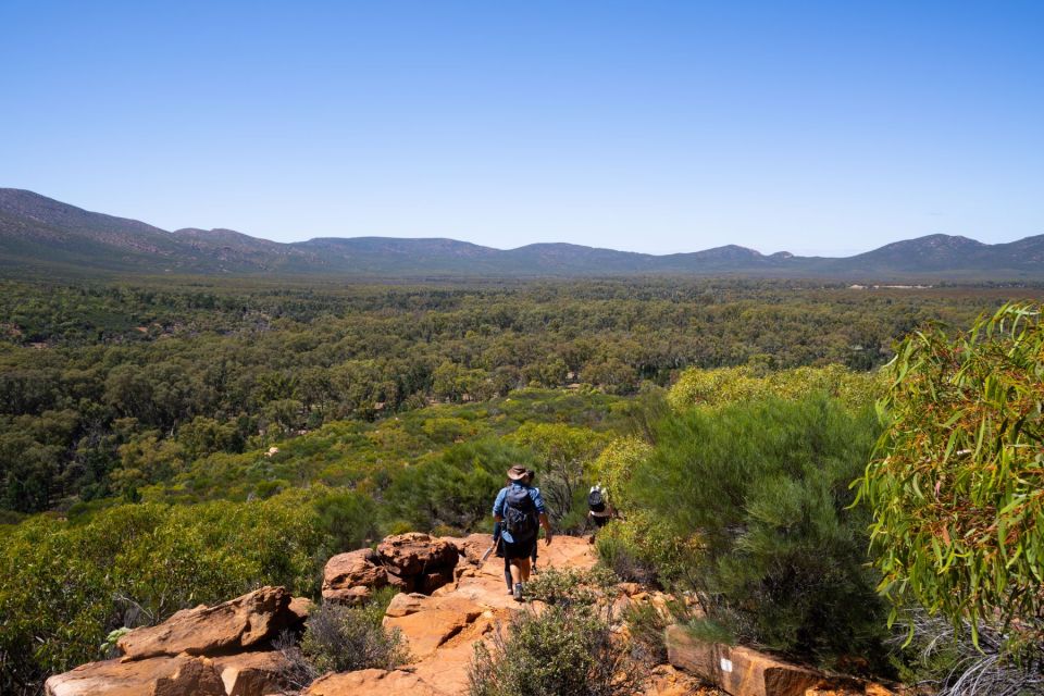 From Adelaide: 8-Day Tour to Uluru - Customer Reviews