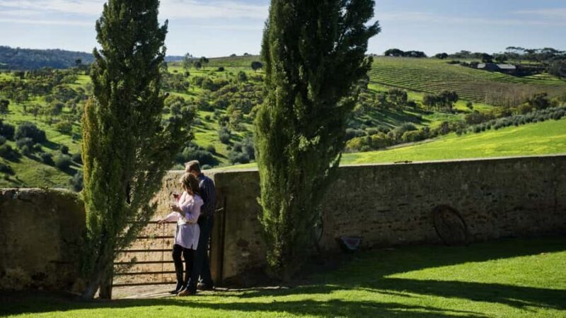 From Adelaide: Boutique McLaren Vale Wine Tour with Lunch - Key Points