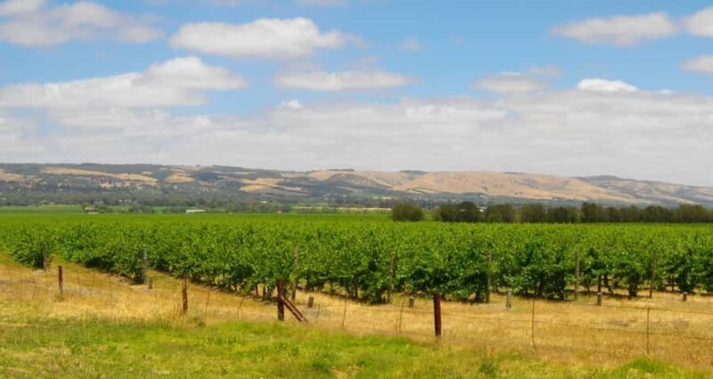 From Adelaide: McLaren Vale Winery Tour with Hahndorf Stop - Key Points