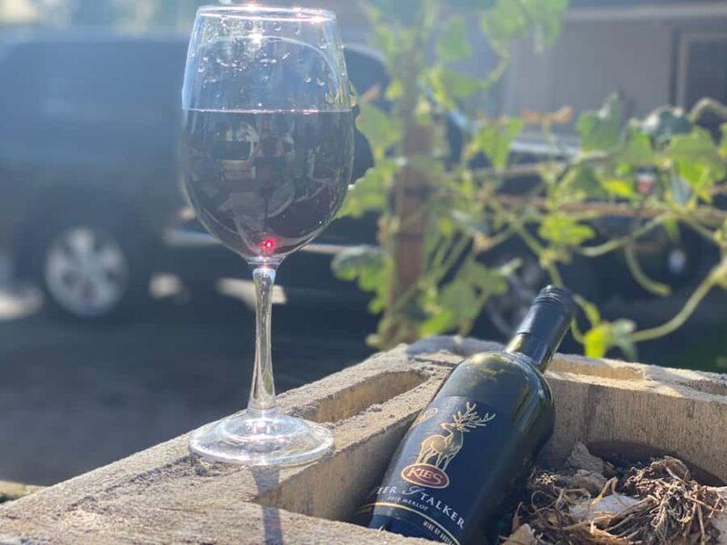 From Adelaide: McLaren Vale Winery Tour with Hahndorf Stop - The Sum Up