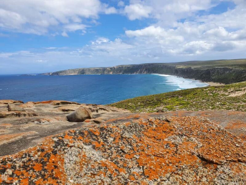 From Adelaide: Premium 2-Day Kangaroo Island Minibus Tour - Who Will Love This Tour?
