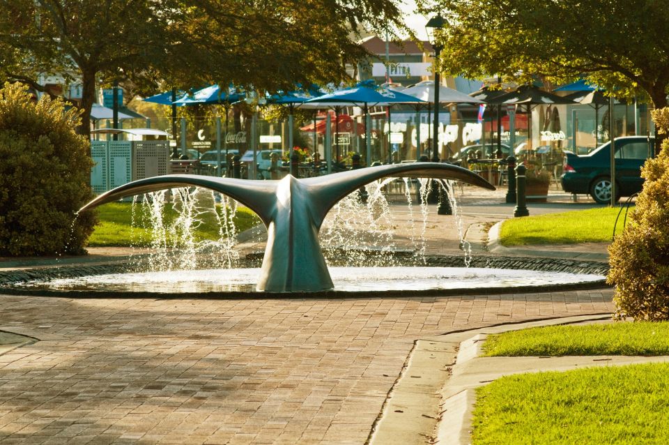 From Adelaide: Victor Harbor & Southern Highlights Day Tour - Additional Information