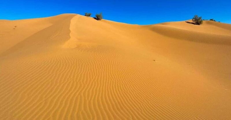 From Agadir : 03 Days Tour to Zagora and Chegaga - Good To Know
