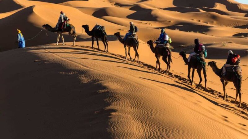 From Agadir: 3-Day Sahara Desert Tour to Merzouga - Tour Overview and Pricing