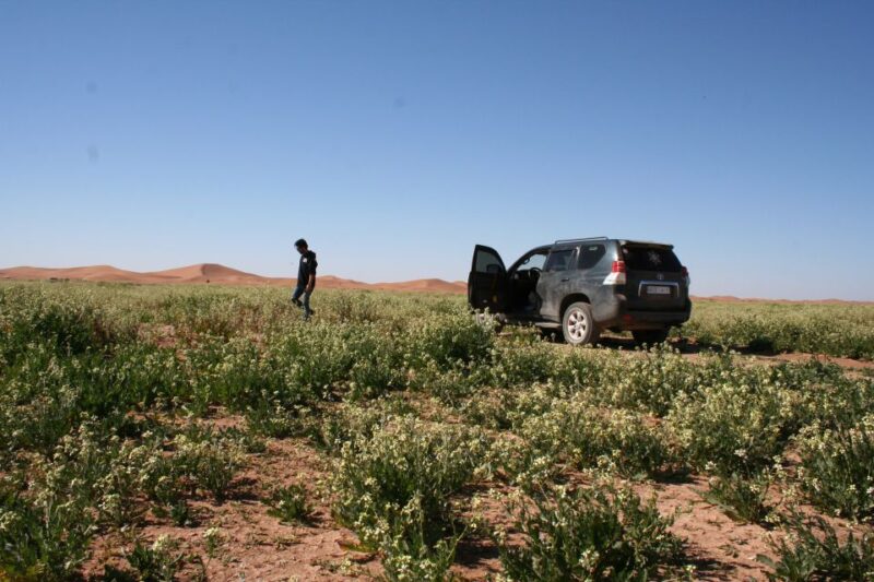 From Agadir 4 Days 3 Nights Sahara Tour to Marrakeche - Packing and Considerations