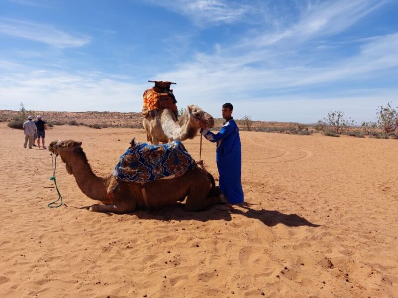 From Agadir: 4×4 Jeep Sahara Desert Tour With Lunch - Culinary Experience