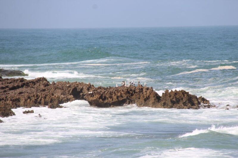 From Agadir: 4×4 Jeep Sahara Desert Tour With Lunch - Additional Activities