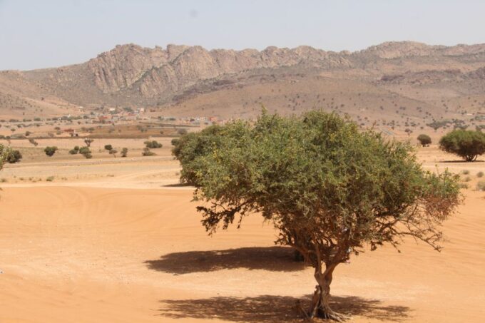 From Agadir: 4×4 Jeep Sahara Desert Tour With Lunch - Scenic Wonders