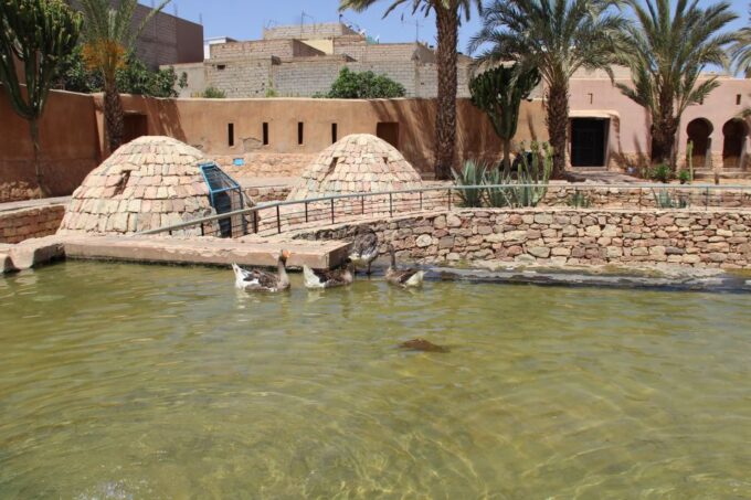 From Agadir: 4×4 Jeep Sahara Desert Tour With Lunch - Frequently Asked Questions