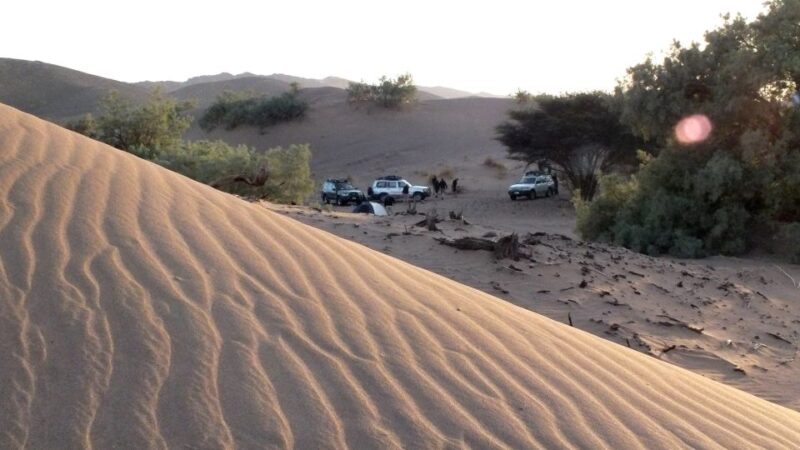 From Agadir: 4×4 Jeep Sahara Desert Tour With Lunch - Good To Know
