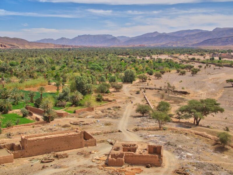 From Agadir: 4×4 Jeep Sahara Desert Tour With Lunch - Fishermens Caves and Rare Shells