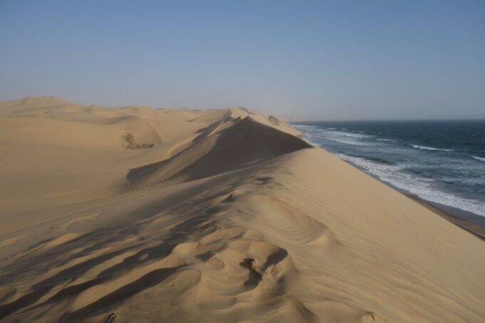 From Agadir: 4×4 Jeep Sahara Desert Tour With Lunch - Dietary Accommodations