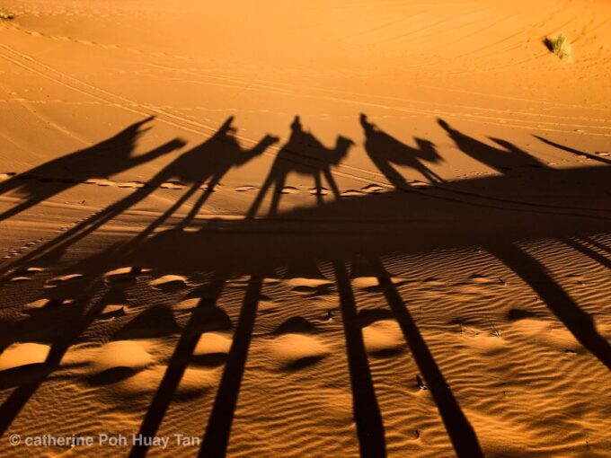 From Agadir: 4×4 Jeep Sahara Desert Tour With Lunch - Reservation and Flexibility