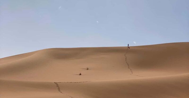 From Agadir: Authentic 3-Day Desert Tour With Accommodation - Tour Overview and Pricing