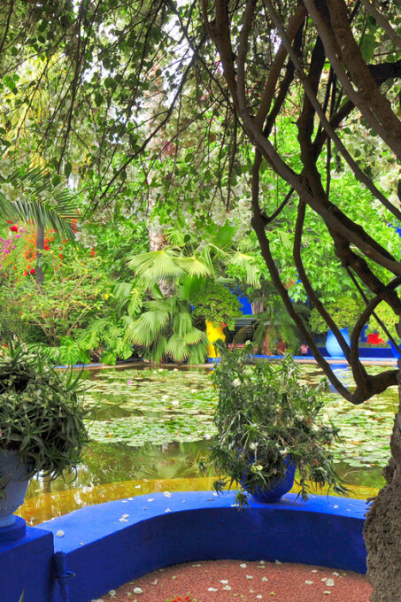 From Agadir: Day Trip to Marrakech - Frequently Asked Questions