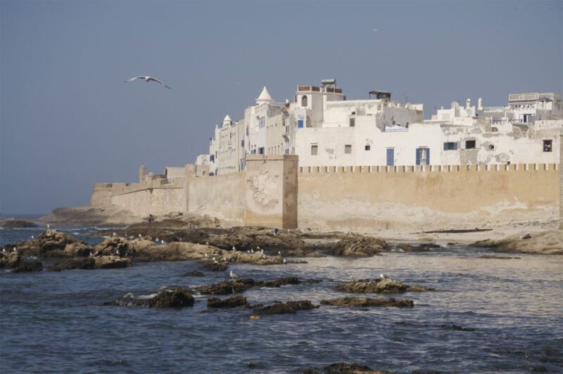 From Agadir: Essaouira Day Trip With Guide - Itinerary Highlights